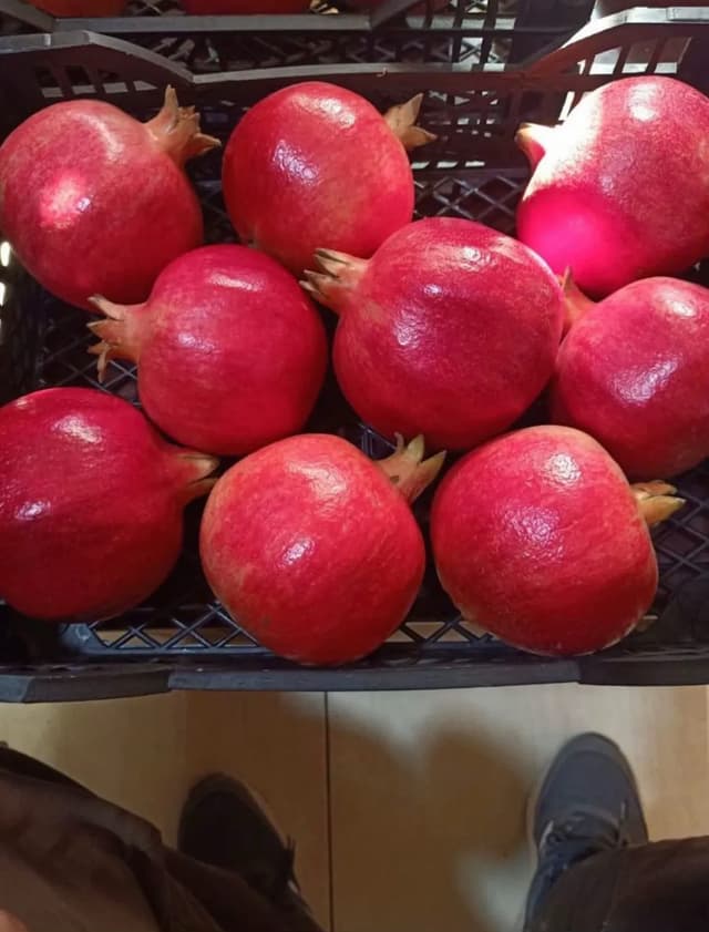 Pomegranate
